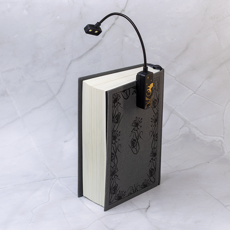 Dragon Book Lover's Boklys