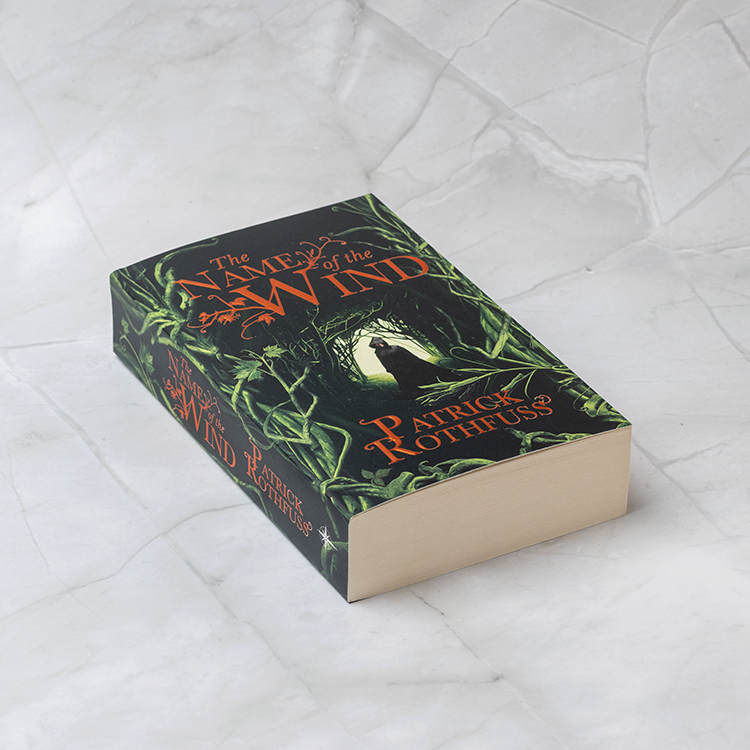 The Name of the Wind