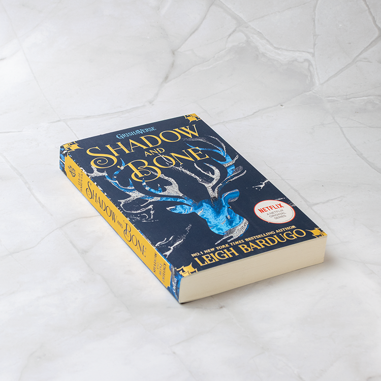 Shadow and Bone: Shadow and Bone (Bok 1)
