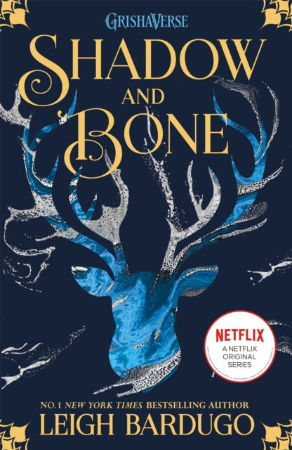 Shadow and Bone: Shadow and Bone (Bok 1)