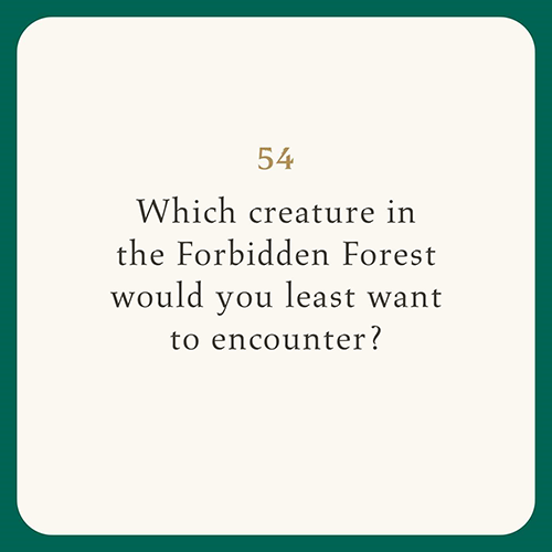 Harry Potter: Conversation Cards