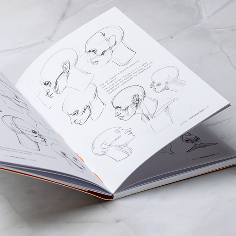 Morpho Simplified Forms