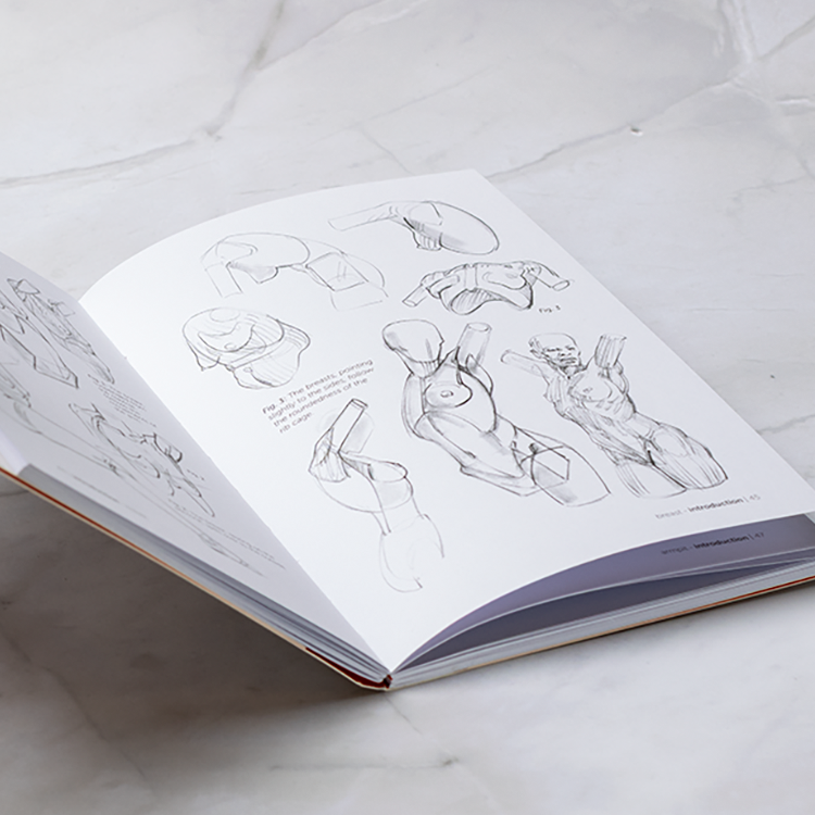 Morpho Simplified Forms