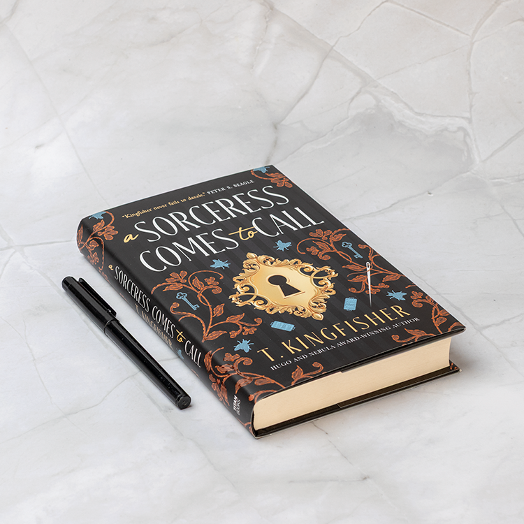 A Sorceress Comes to Call (Innbundet)