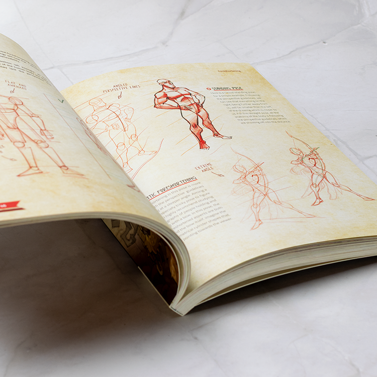 Beginners Guide to Fantasy Drawing