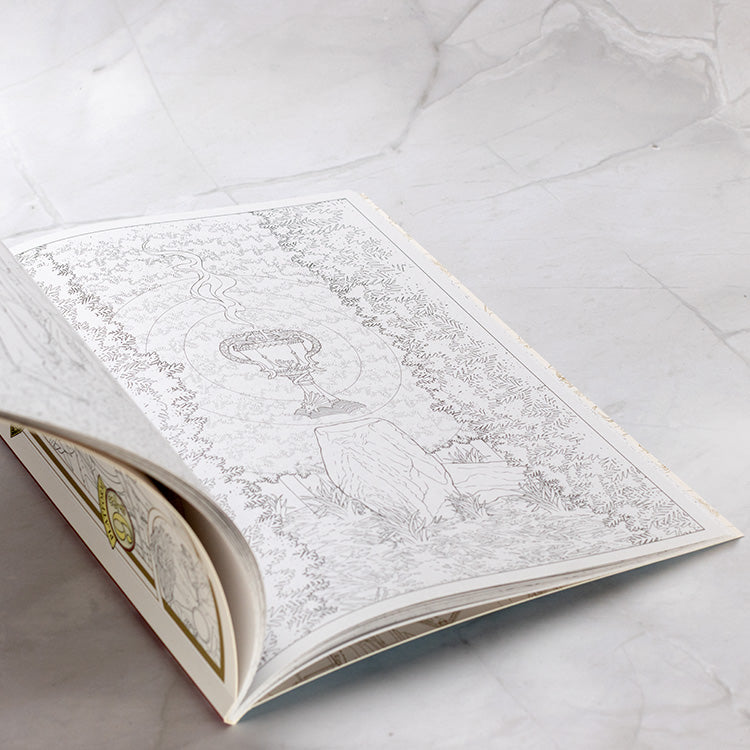 Harry Potter: Travels Through the Wizarding World