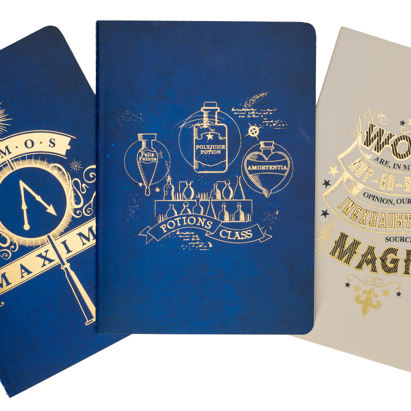 Harry Potter: Spell and Potions Planner Notebook Collection (Sett av 3)