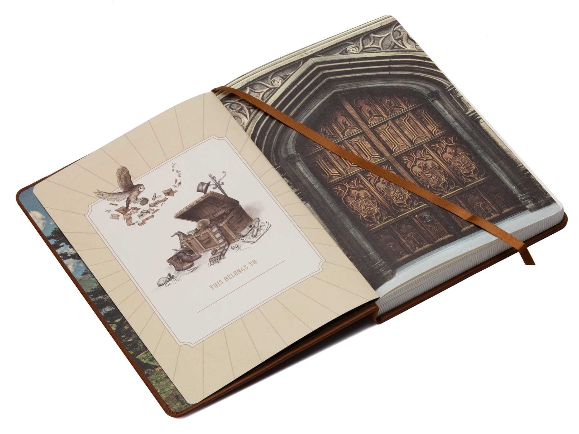 Harry Potter: Hogwarts Legacy Journal