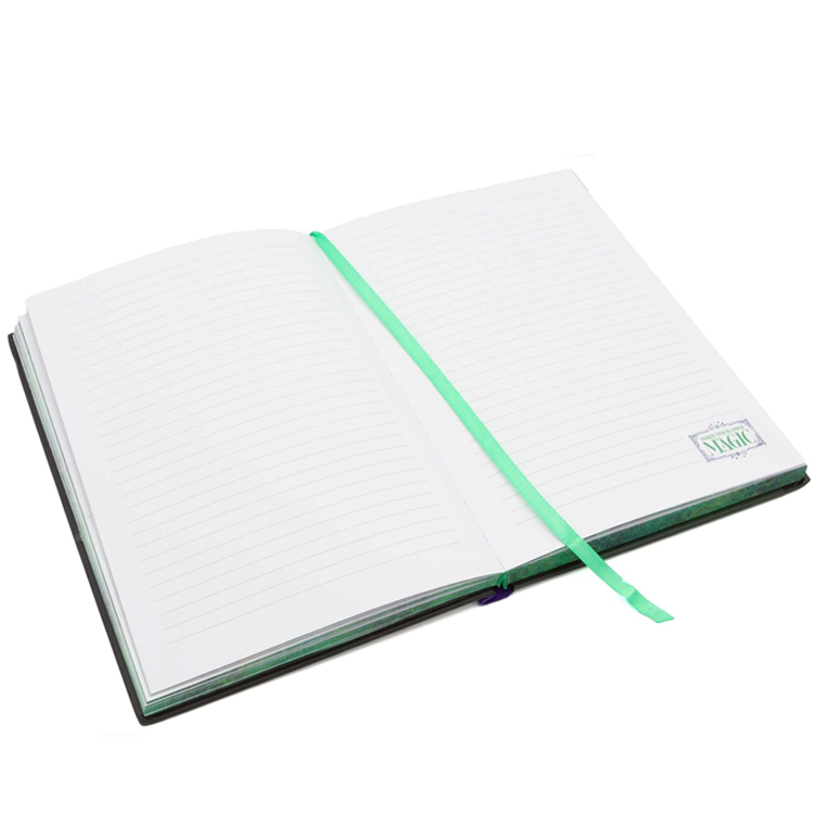 Wicked: Elphaba Thropp Journal