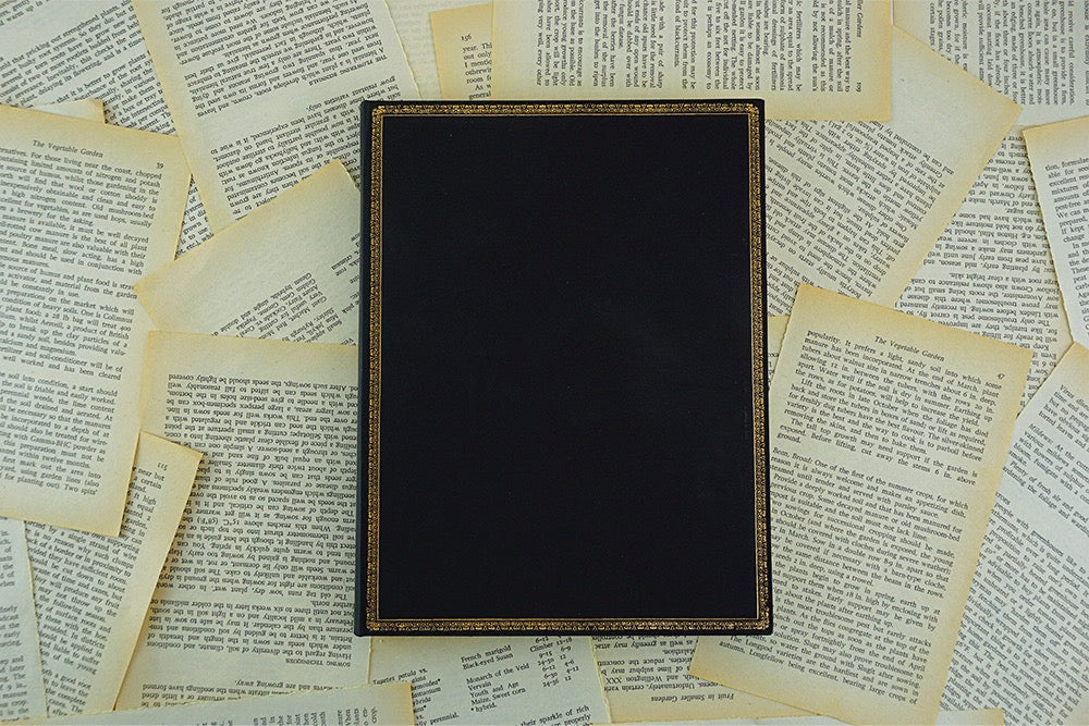 Black Edition - Midi Paperblanks notatbok (Linjert)
