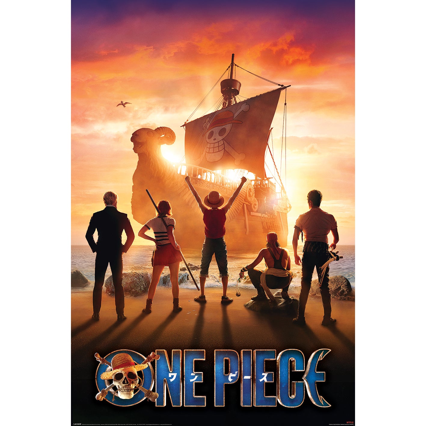One Piece plakat