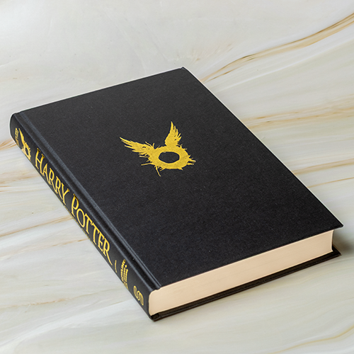 Harry Potter and the Cursed Child – Parts One and Two (Special Rehearsal Edition)