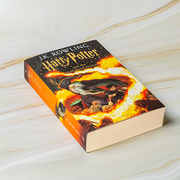 Harry Potter and the Half – Blood Prince (Bok 6)